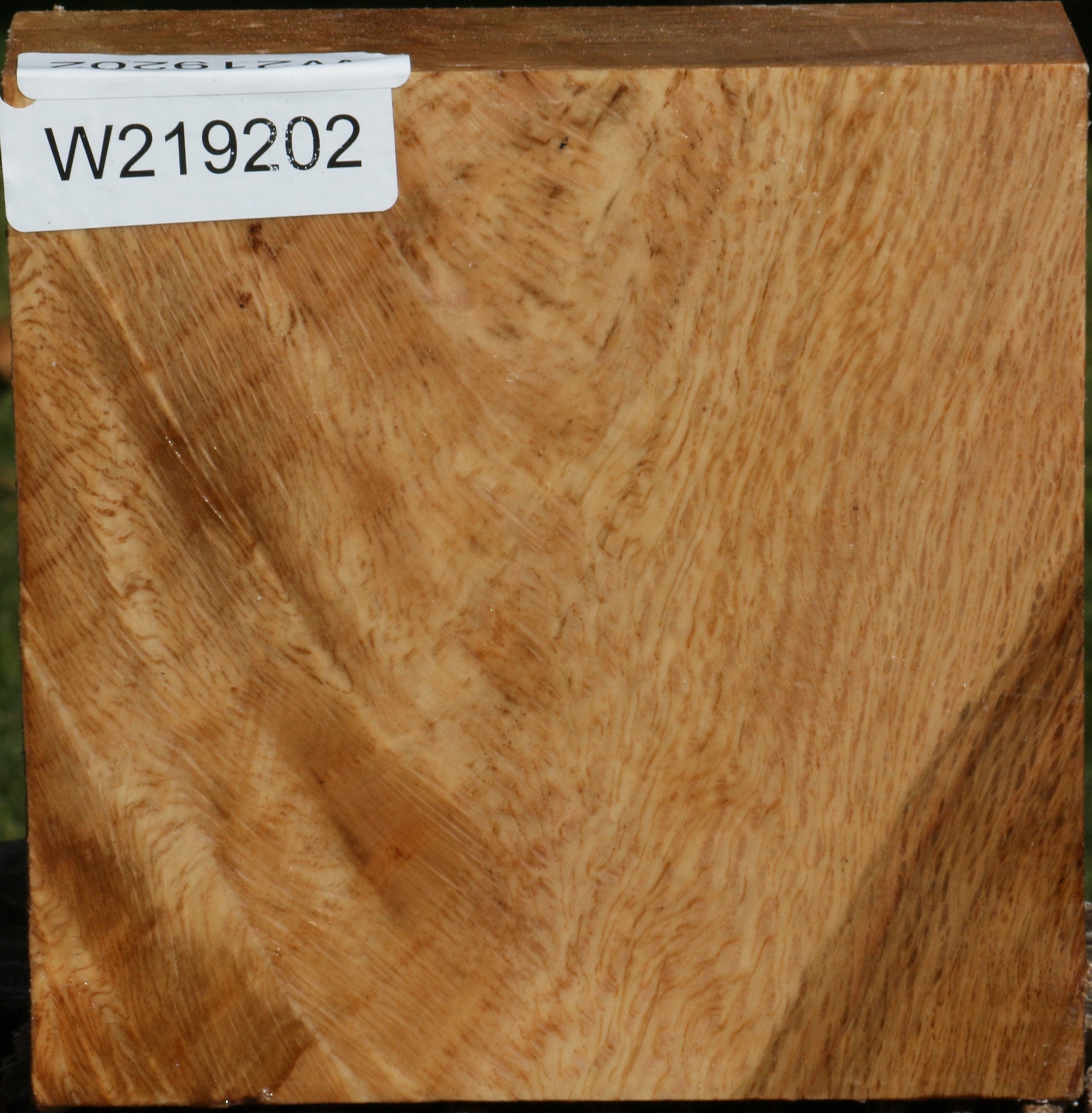 219202_1_3ae7e3f9-73a8-48f2-9374-0df871db1ad7 14622508614003