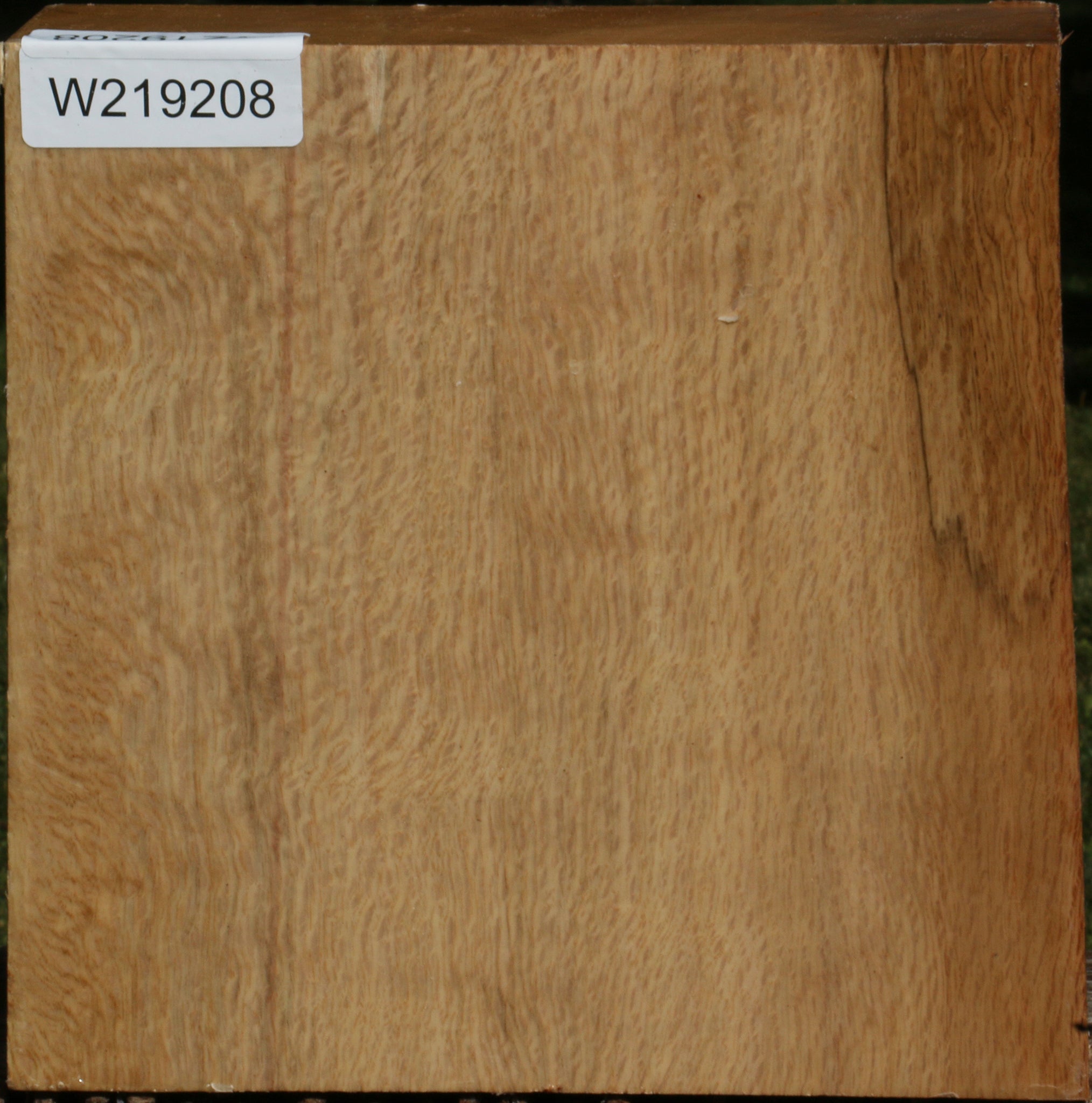 219208_1_031e1ed0-bb9f-4d56-8c75-153f0f2920f7 14622509072755