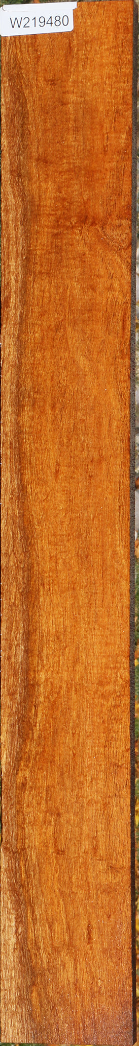 219480_1_7f2e3643-f809-4cd1-84d4-3df794721ddd 14797069418867