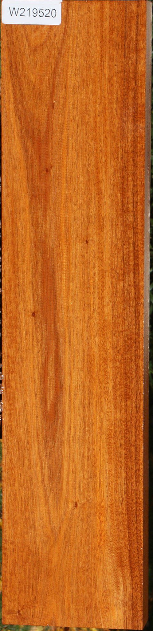 219520_1_5e17d6cf-f6e0-4cf8-9454-03813dba1393 14797071024499