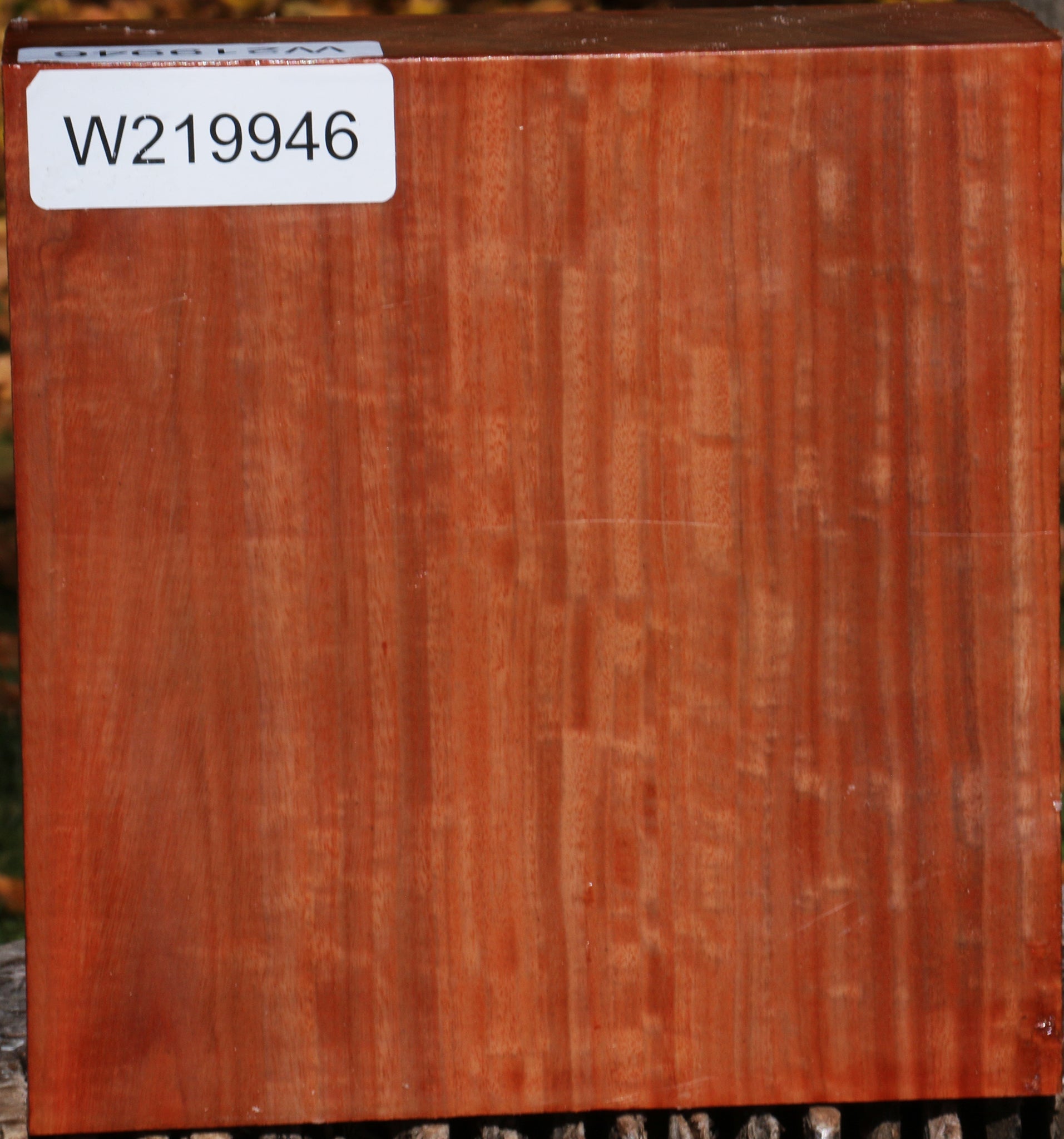 219946_1_bf9dc51b-e3f9-4371-9b46-6018eccc00a8 14876821455219