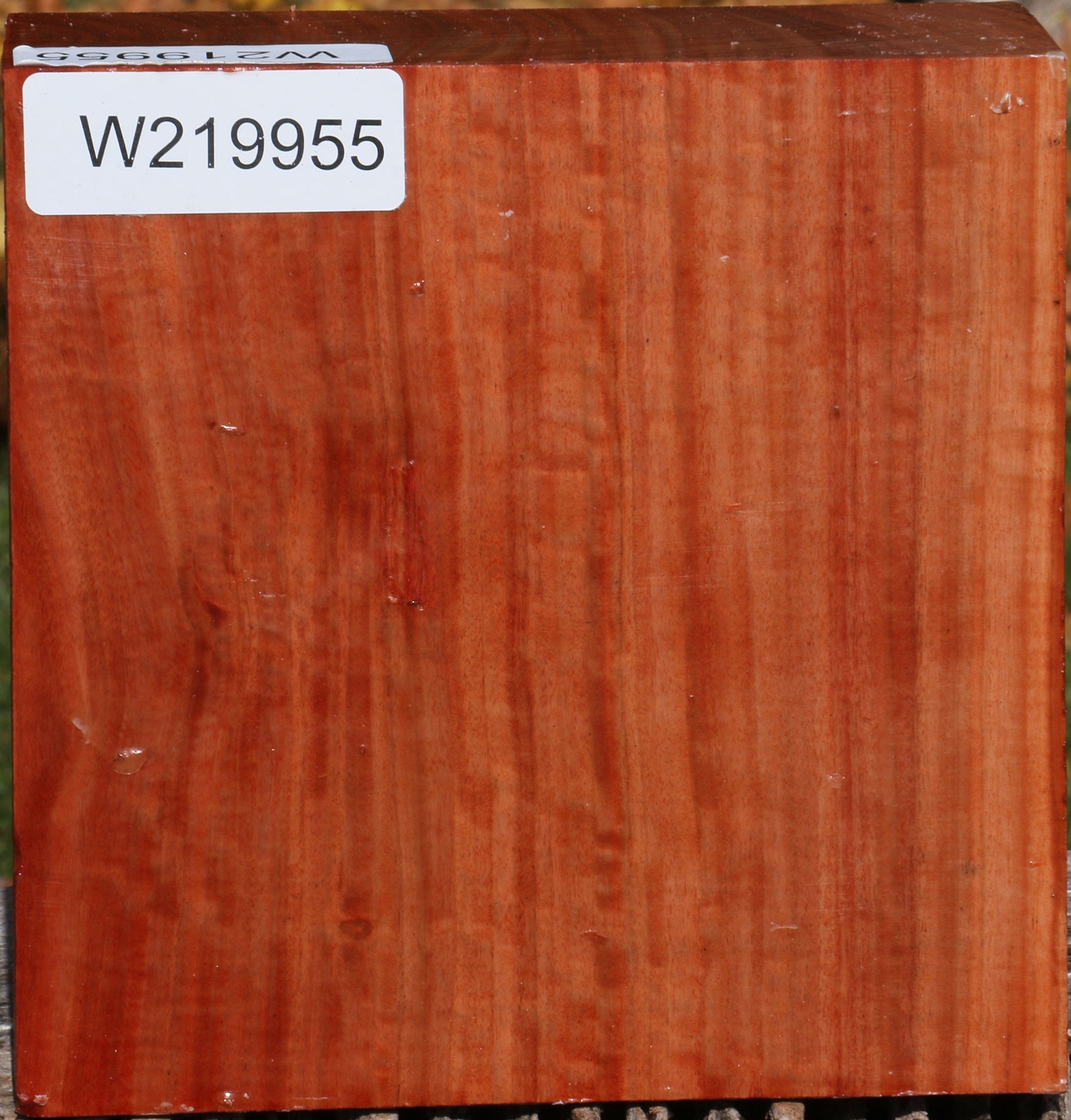 219955_1_078be0c1-26c1-4b0f-9e07-85beb5aba9d4 14876821881203