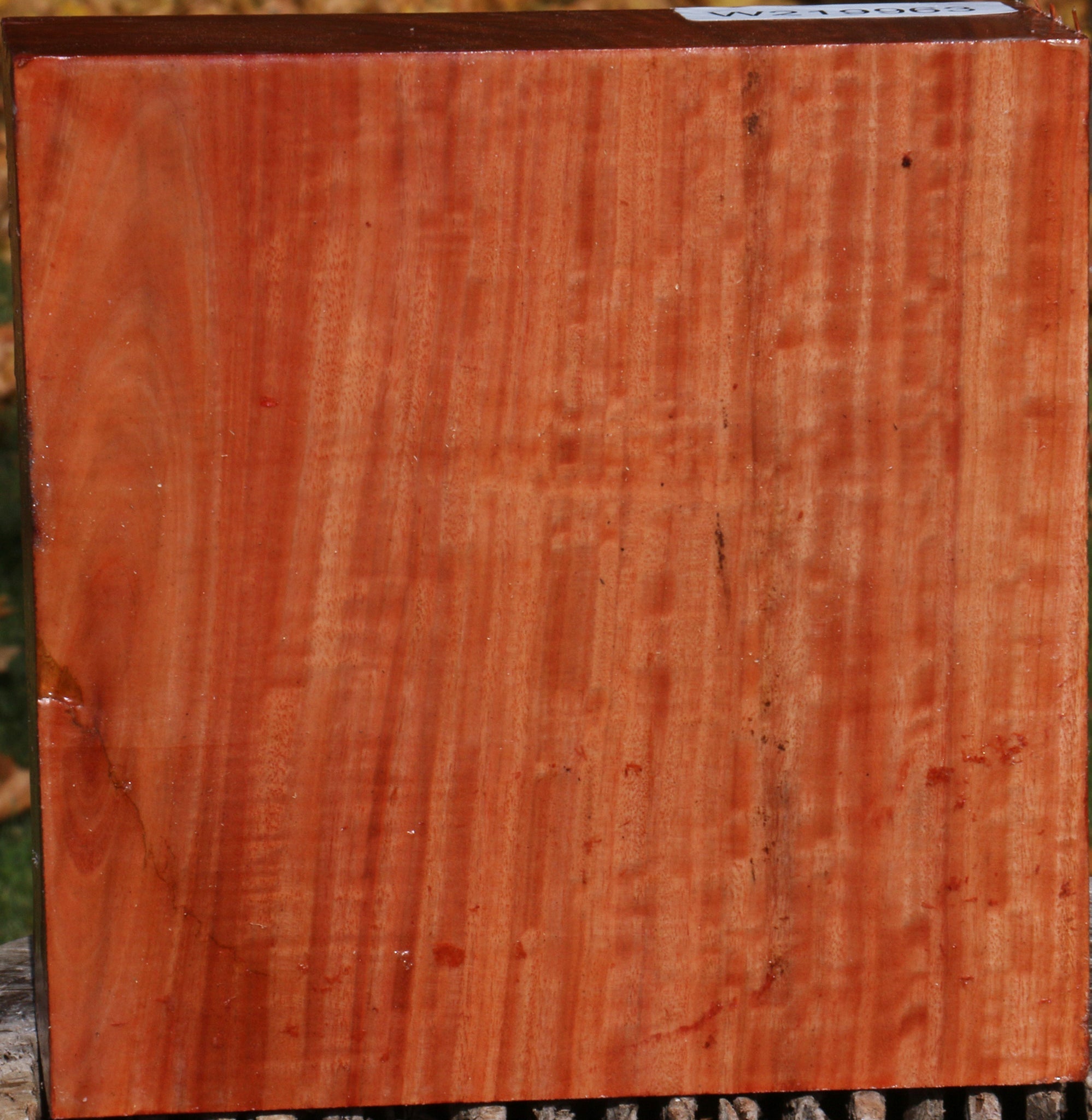 219963_1_cd5ce93d-d205-4c81-8b39-4b1227112b43 14876822405491