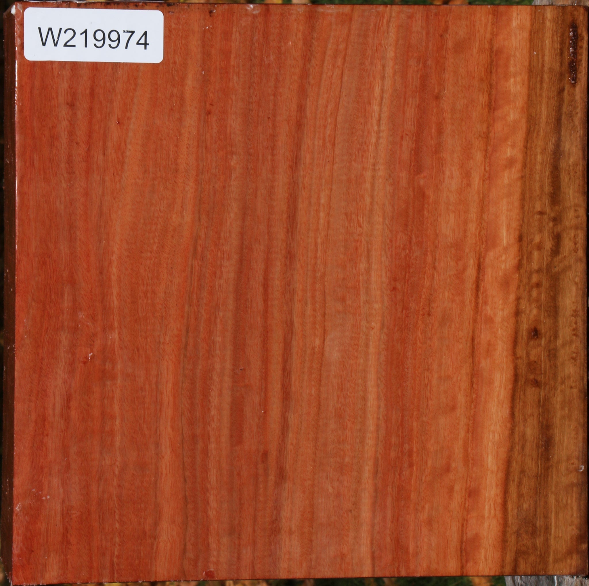 219974_1_f5ccead6-7284-4365-81a3-bb7dbf2f2627 14876822798707