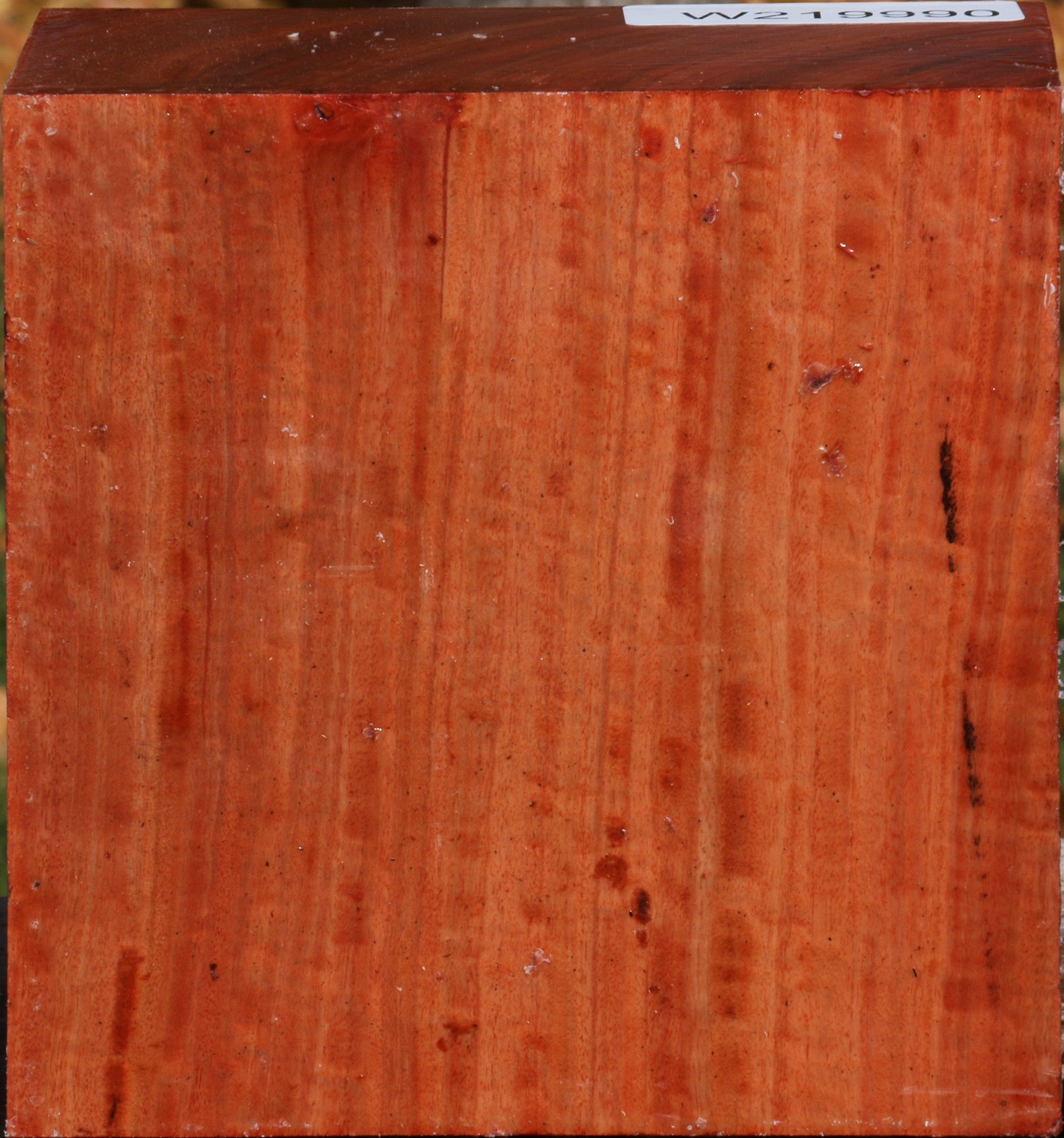 219990_1_0ef11bad-ca6c-470f-a7ad-2a894692edbb 14876823322995