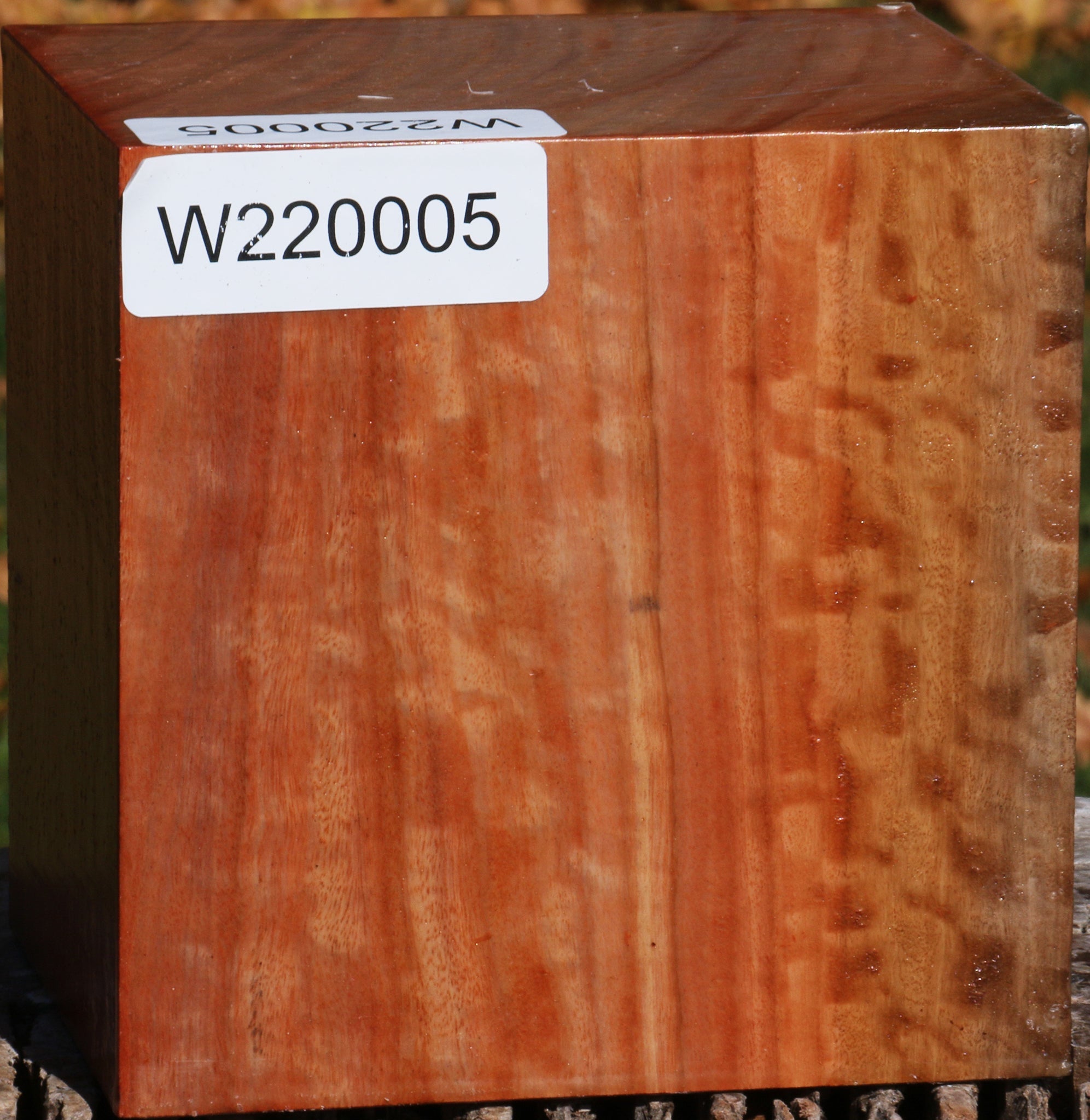 220005_1_7067d833-7bed-4b76-aa59-cff4d9568190 14876823814515