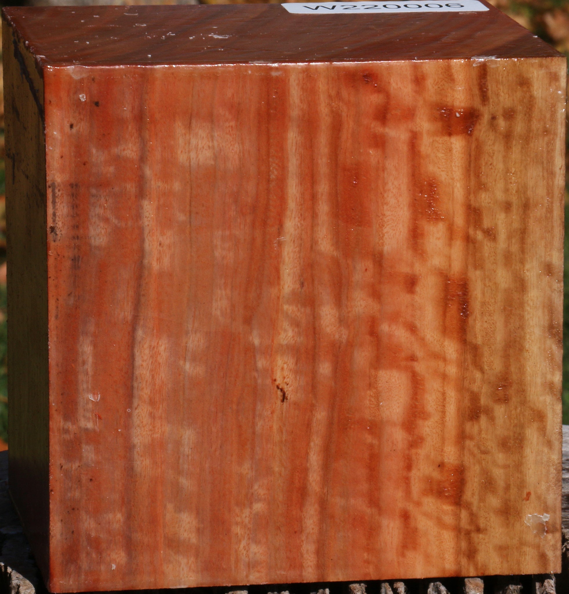 220006_1_bf807591-26ad-4623-851f-5b85f5d26a92 14876823847283