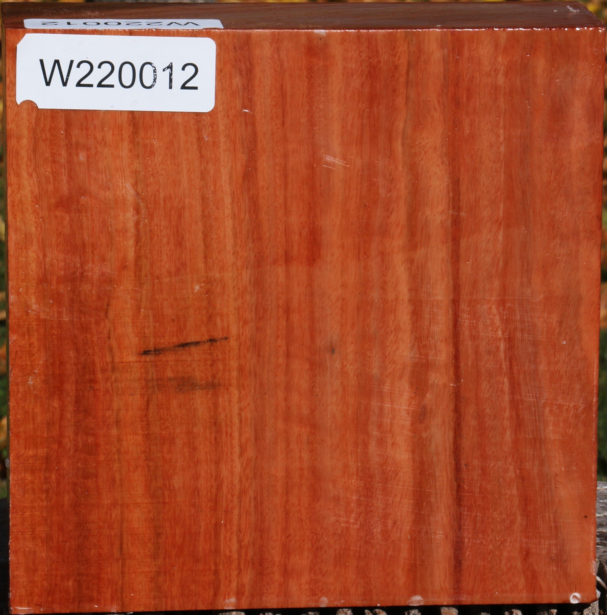 220012_1_3e87c465-a37d-4947-a1a5-b6a95a386fa4 14876824076659