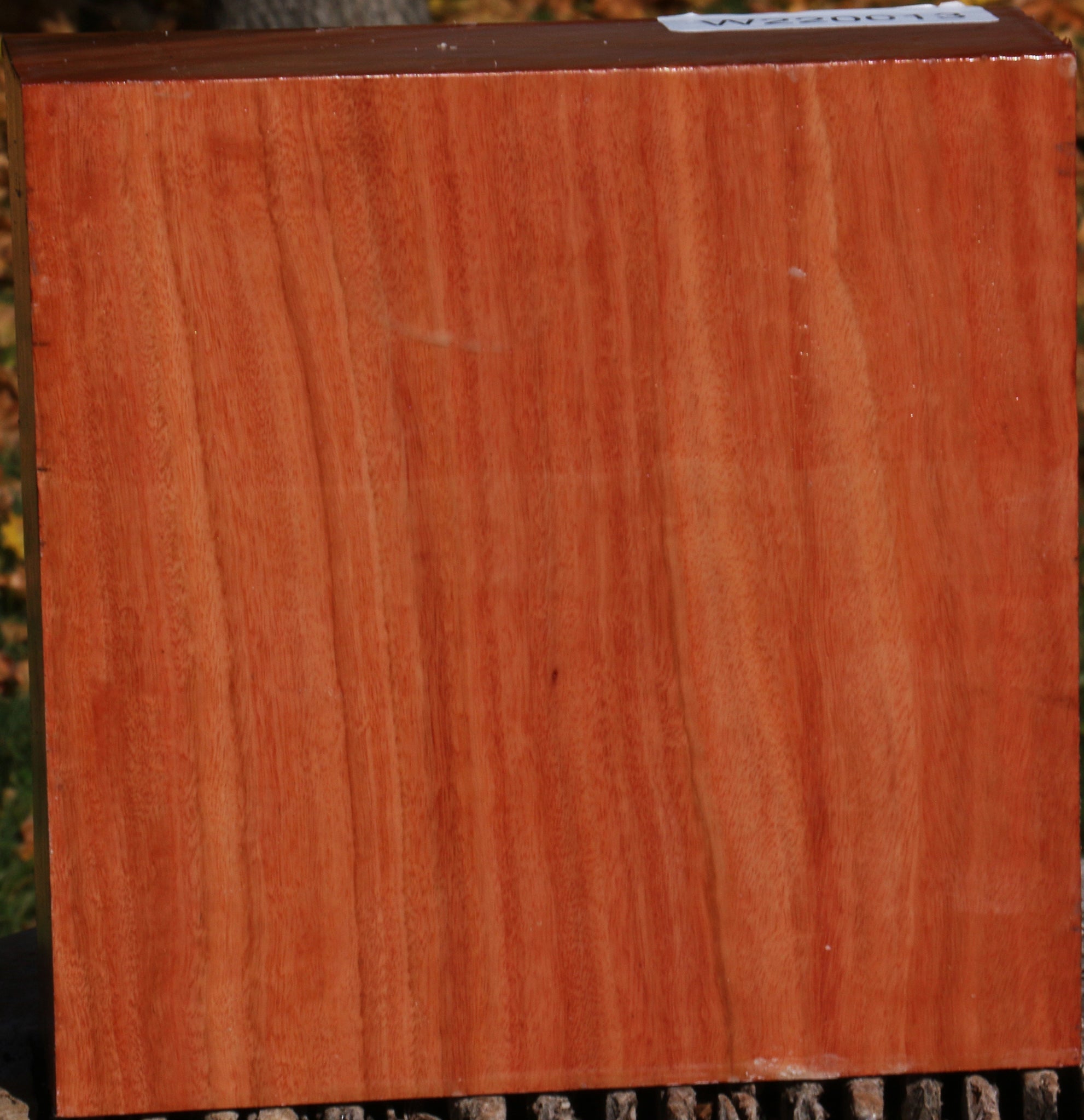 220013_1_00add276-ec02-4565-b56c-ce181dd2e4a2 14876824109427