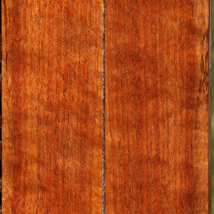 14876245393779