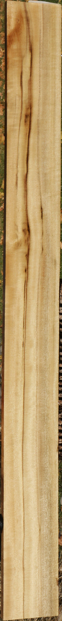 220246_1_0abc13b1-6057-4ab0-8d11-73eb91f73e8f 14877614440819