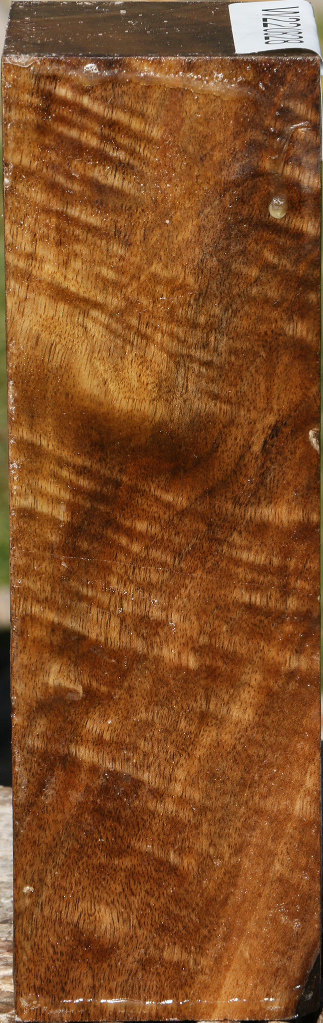 220828_1_354a0fb1-f606-45fc-a815-627e47b45f86 14881842332019