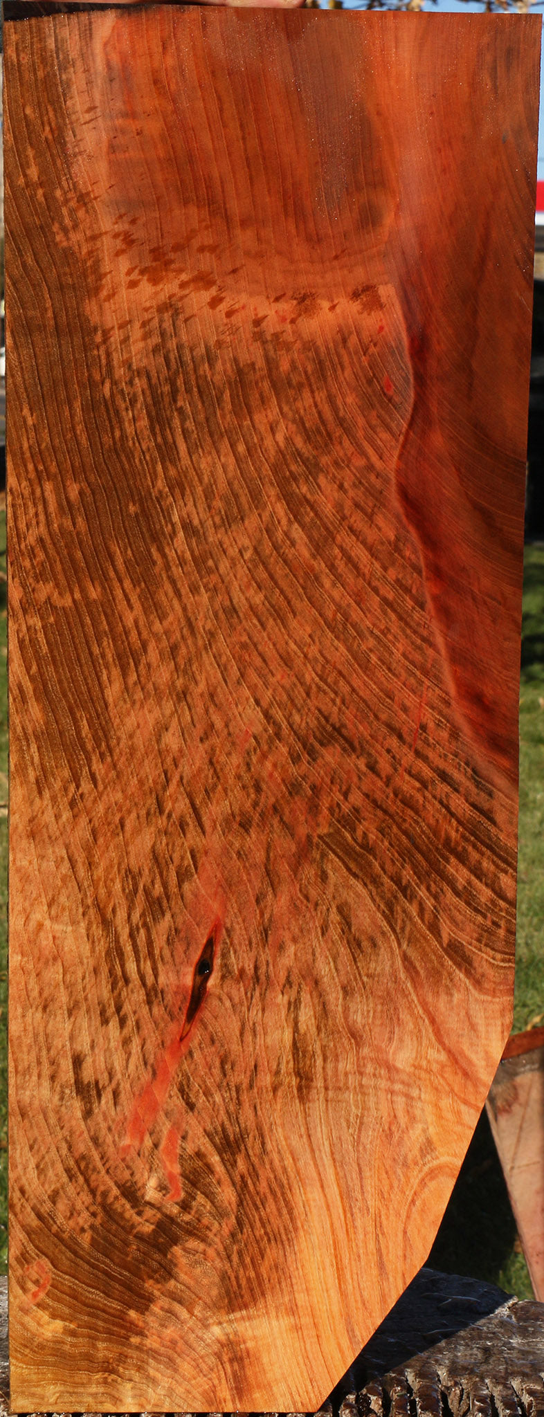 220858_1_194932ee-c29e-48f8-b564-7326fe2abb52 14933603582323