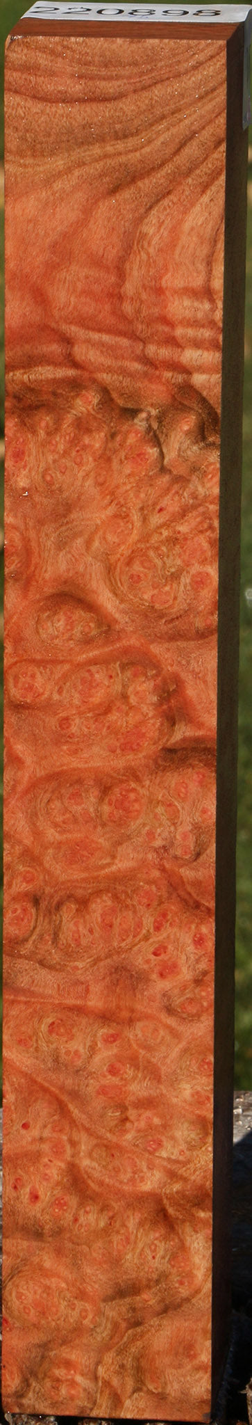 220898_1_8f37b6de-e6b4-4dfc-bd55-aaab832289ba 14933798388083