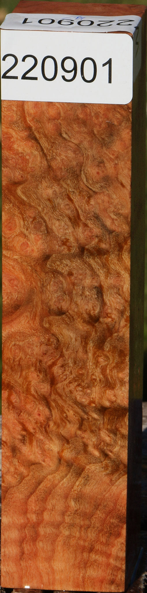 220901_1_11e554fd-b36e-416f-bc32-1652d370d3ad 14933814870387