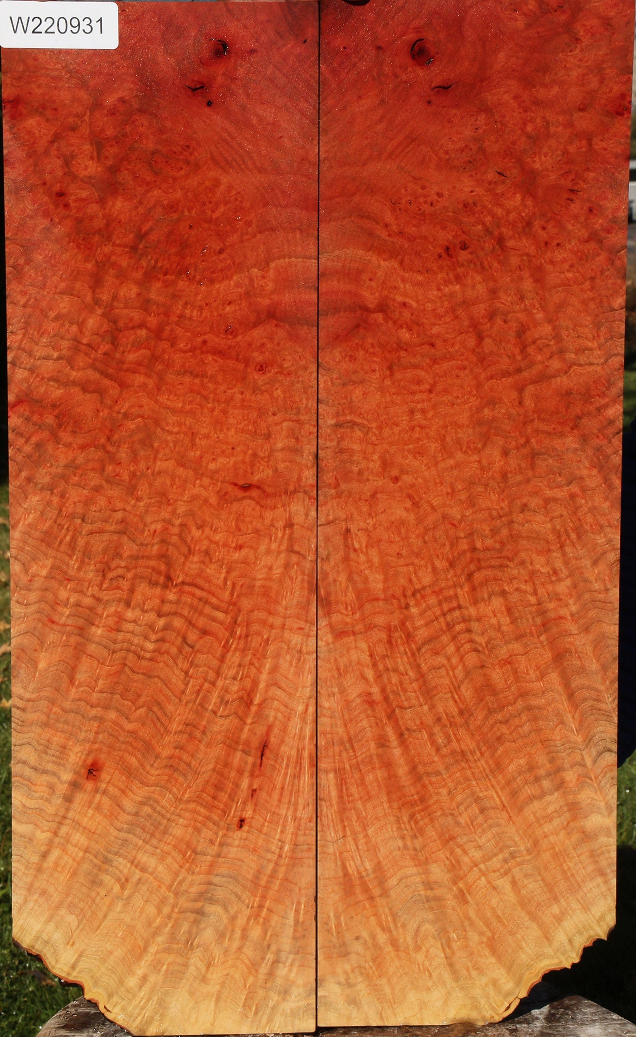 220931_1_b1a6810b-203f-4012-b130-a111e46e62db 14934053814643