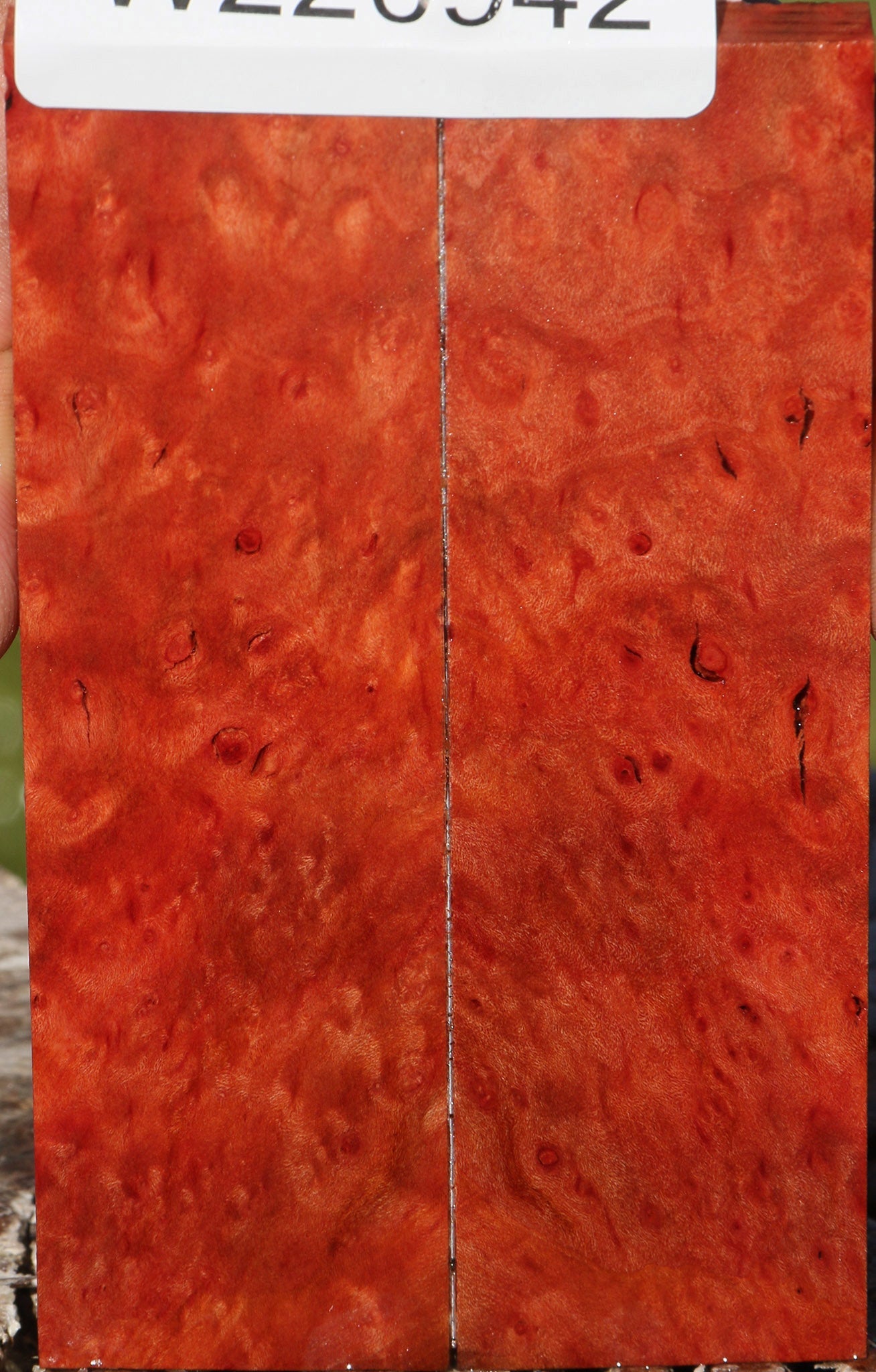 220942_1_8bf7e30f-713e-48e8-8f04-ff617cf322ab 14934111551859