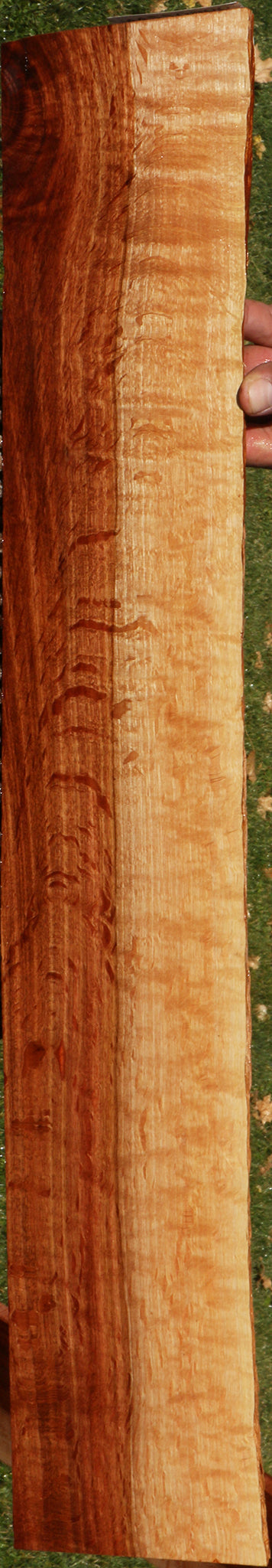 220966_1_9ffecf8b-67eb-4d83-b3c6-d3e15387352d 14882299445619