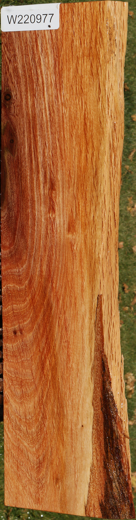 220977_1_54c20b20-fdea-4cd2-8f51-3a3d9f2071ff 14882299773299