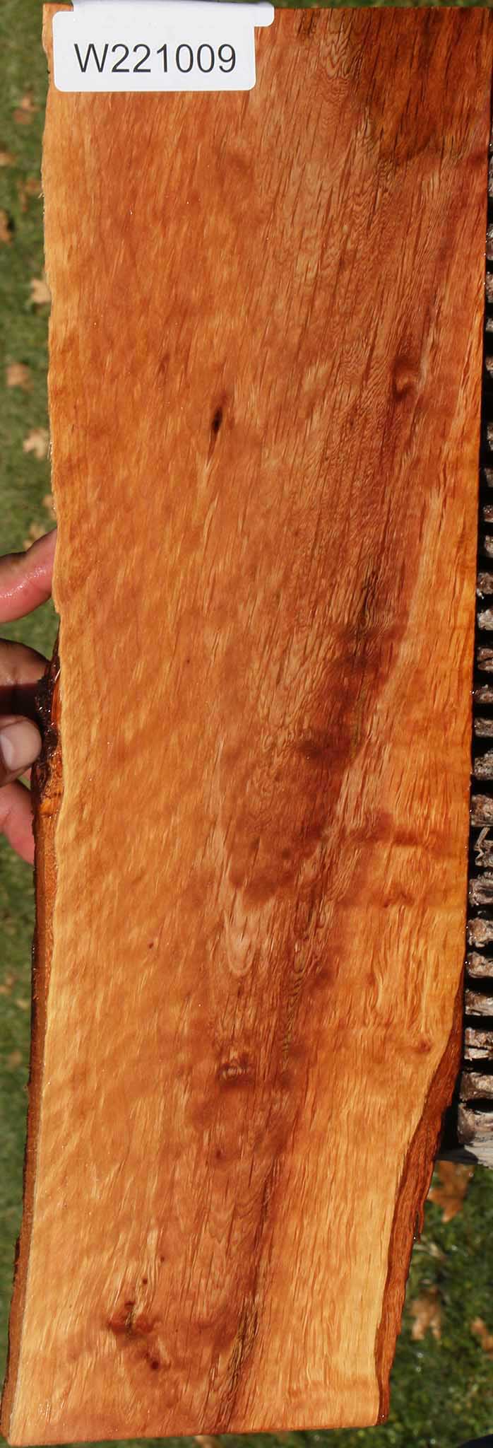 221009_1_cd5acd5c-d1b9-4cba-91af-4ada3651cb47 14882300526963