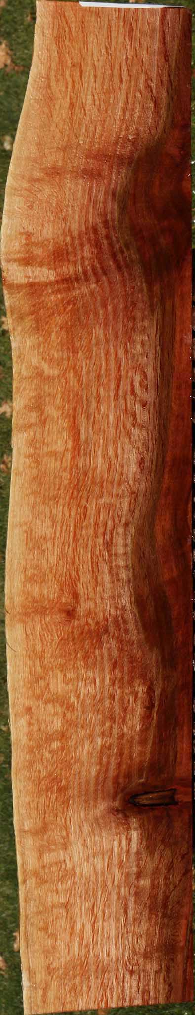 221011_1_542942fb-88d7-4c7e-be37-14b9a722d925 14882300592499