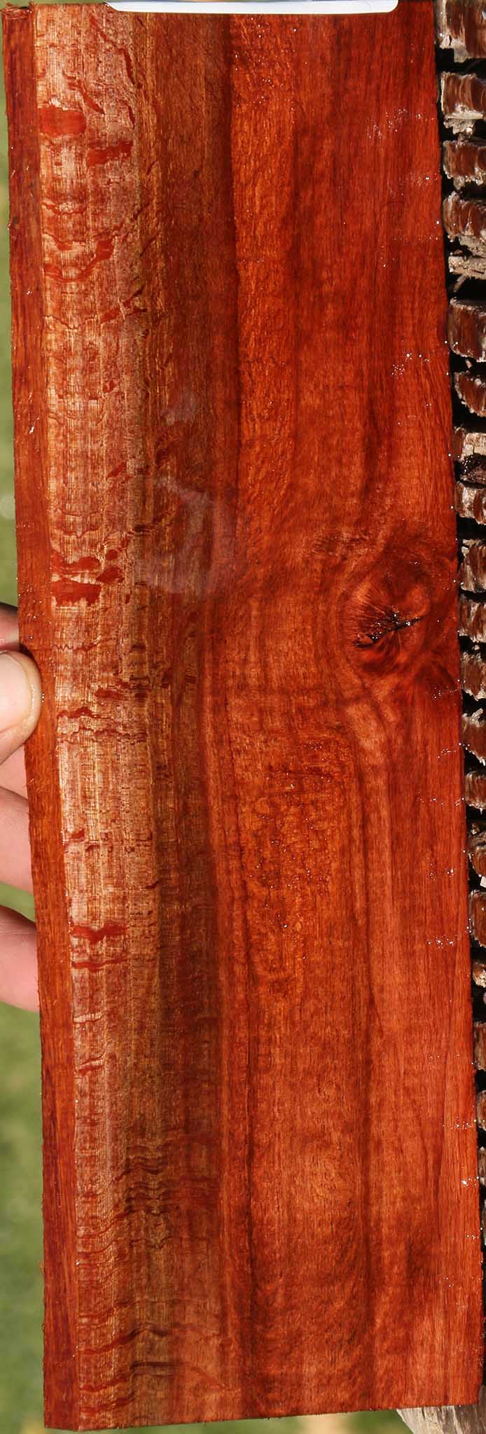 221014_1_bdabff4c-e808-4190-bb30-2ae6ca39a5f2 14882300723571