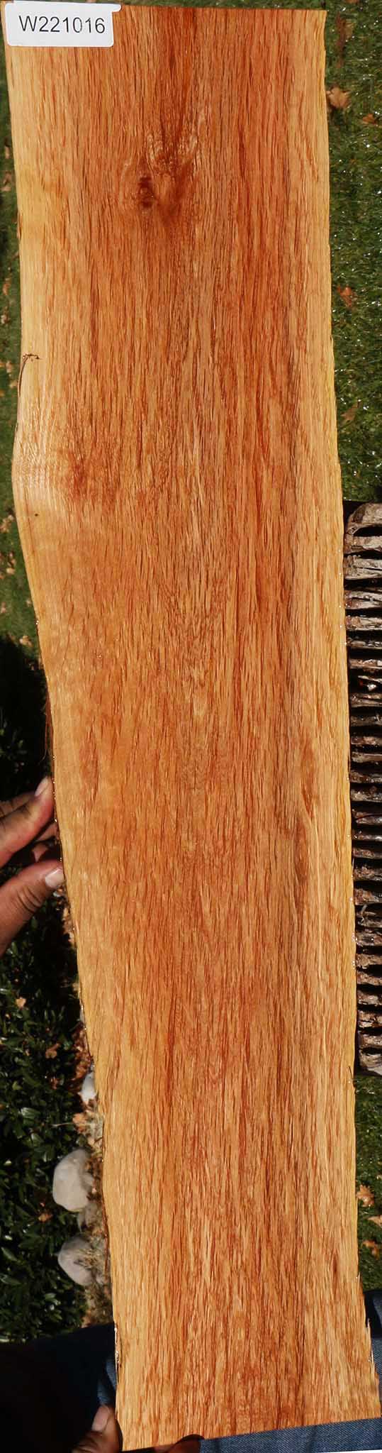 221016_1_67874267-9523-4eb0-a742-6c06cb609ead 14882300789107