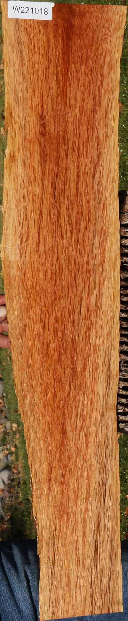 221018_1_241c7953-1cd1-4cc1-bd54-4c1978a8e877 14882300854643