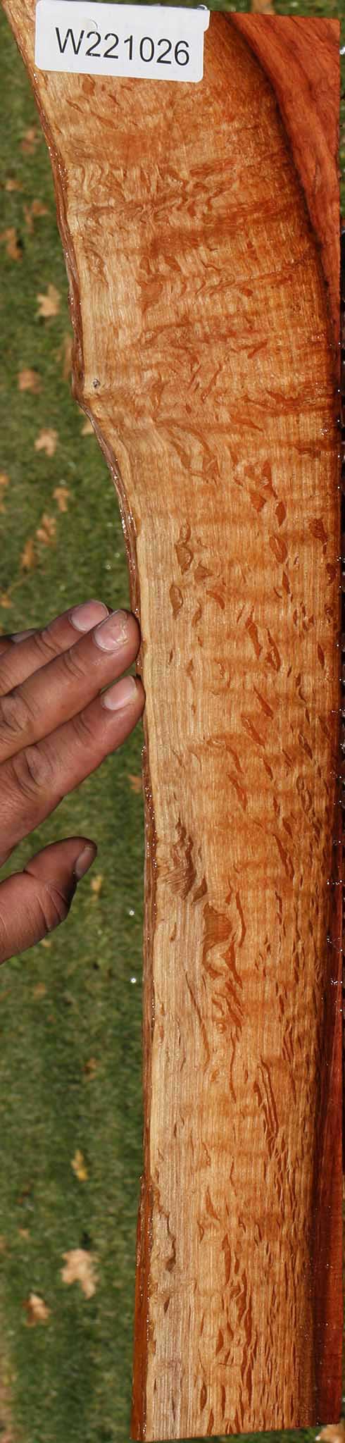 221026_1_8f6609d9-4f26-4e6e-9c97-efaa31ba5939 14882301116787