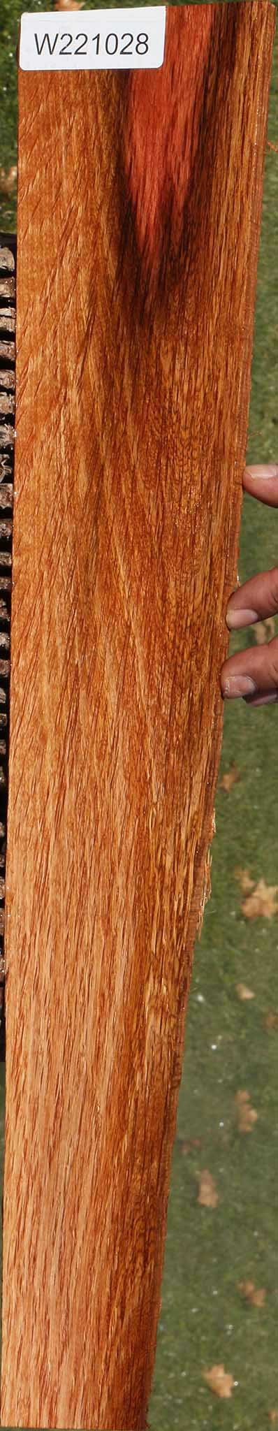 221028_1_b2420370-e749-4734-847a-f52d6911008a 14882301149555