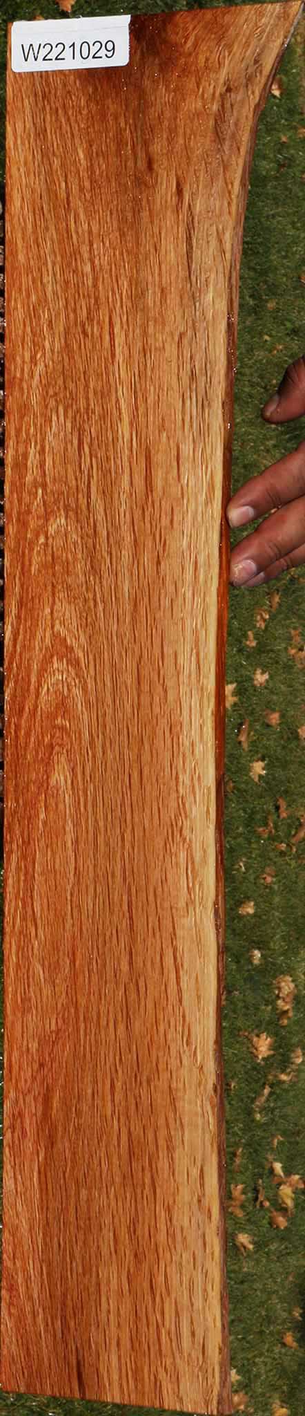 221029_1_b8877907-6c8e-4082-b238-32afbc48062e 14882301182323