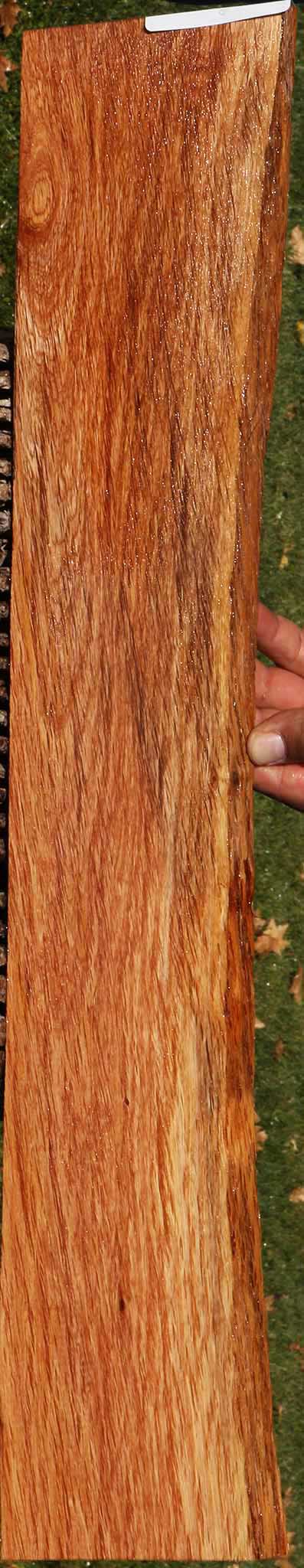 221034_1_d6f1617e-8fc1-442f-a493-17f915b77c08 14882301280627