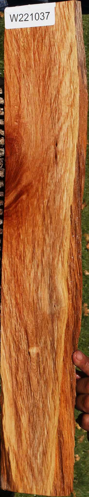 221037_1_98e095b9-e0c6-470d-8e14-c3274e307bae 14882301378931