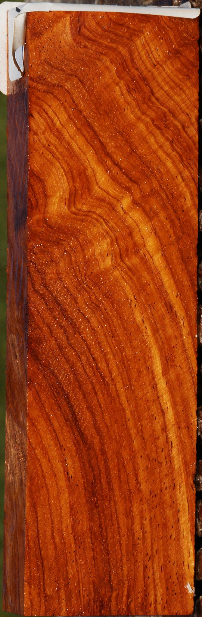 221150_1_026edf05-eb03-4597-8bd9-7fb2c365a79a 14991304687987