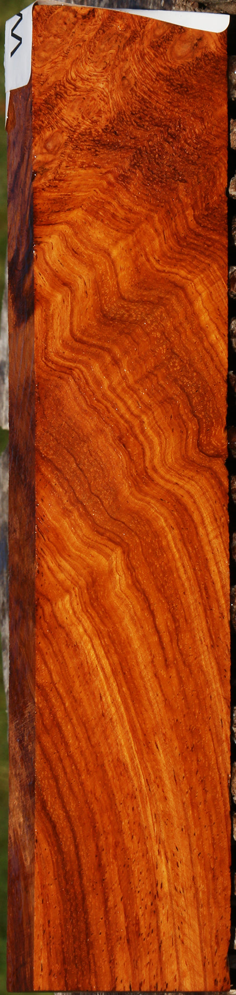 221157_1_e3cdaf03-ad3c-41dd-8834-9d6dc96cc2ed 14991339487603