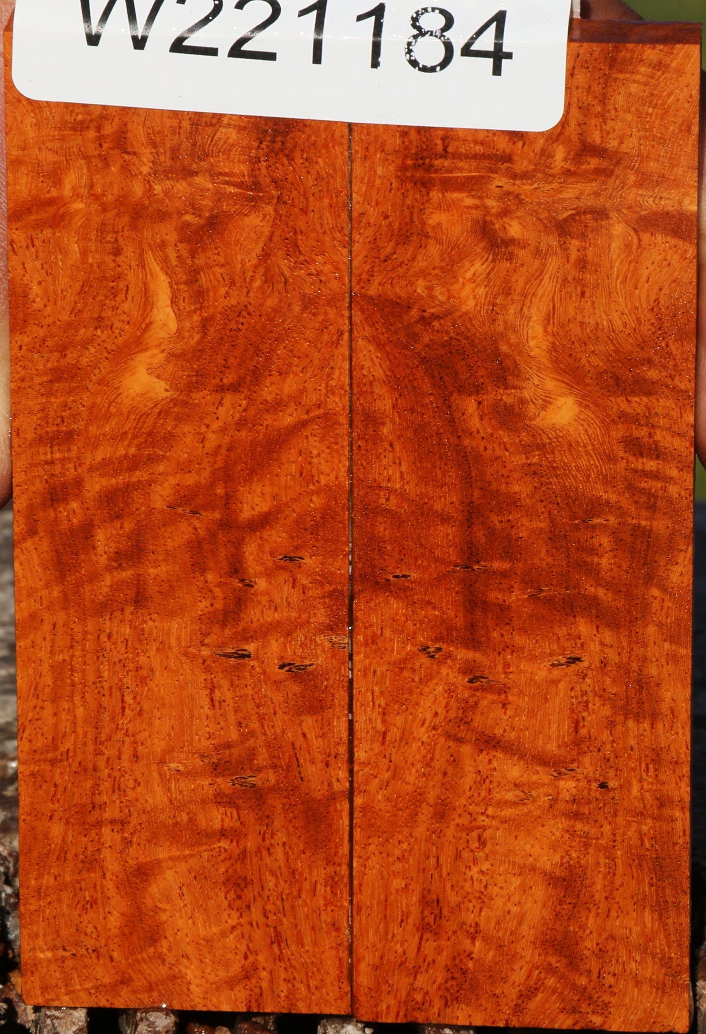 221184_1_385ee23d-2cc8-4b3b-a56e-7f7e6caed3f2 14991451095411