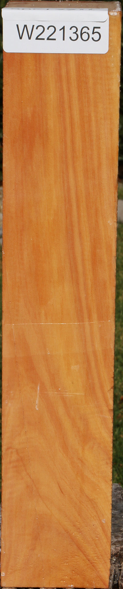 221365_1_5a3887d3-516b-4918-bfbe-bdd4d49128be 15023116222835