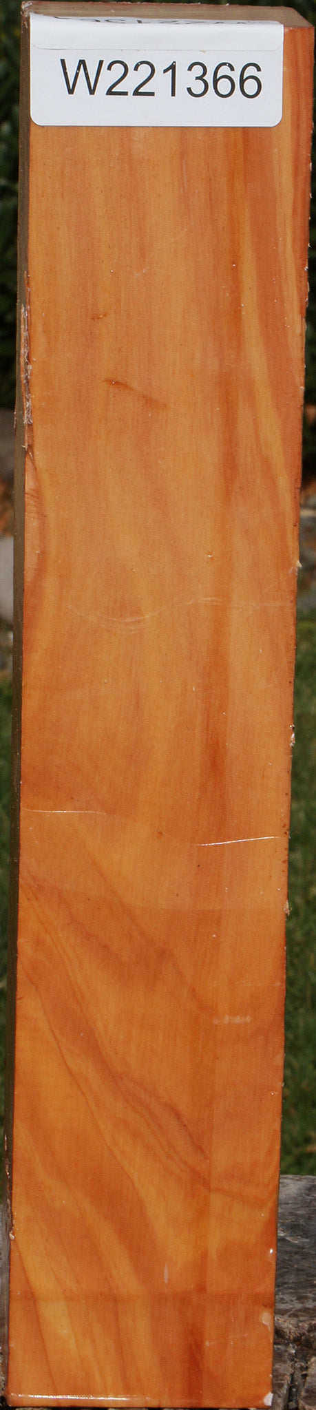 221366_1_9738fa25-62e0-48d4-8be1-37f01f0a35b1 15023116353907