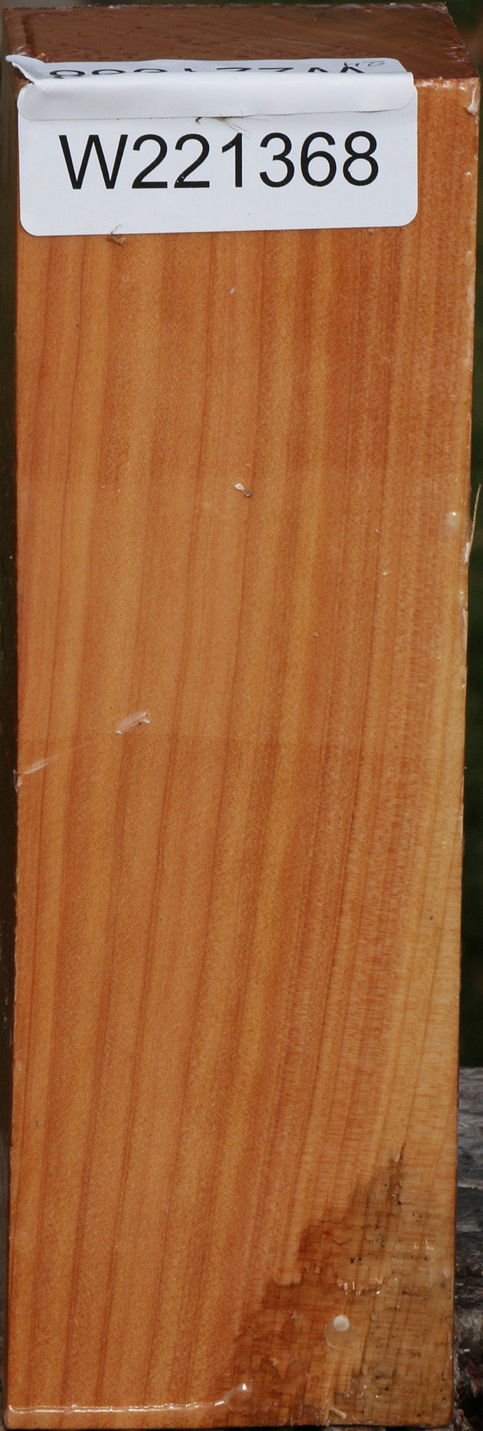 221368_1_36111ed5-11bb-47e4-b054-189b350e2549 15023116583283