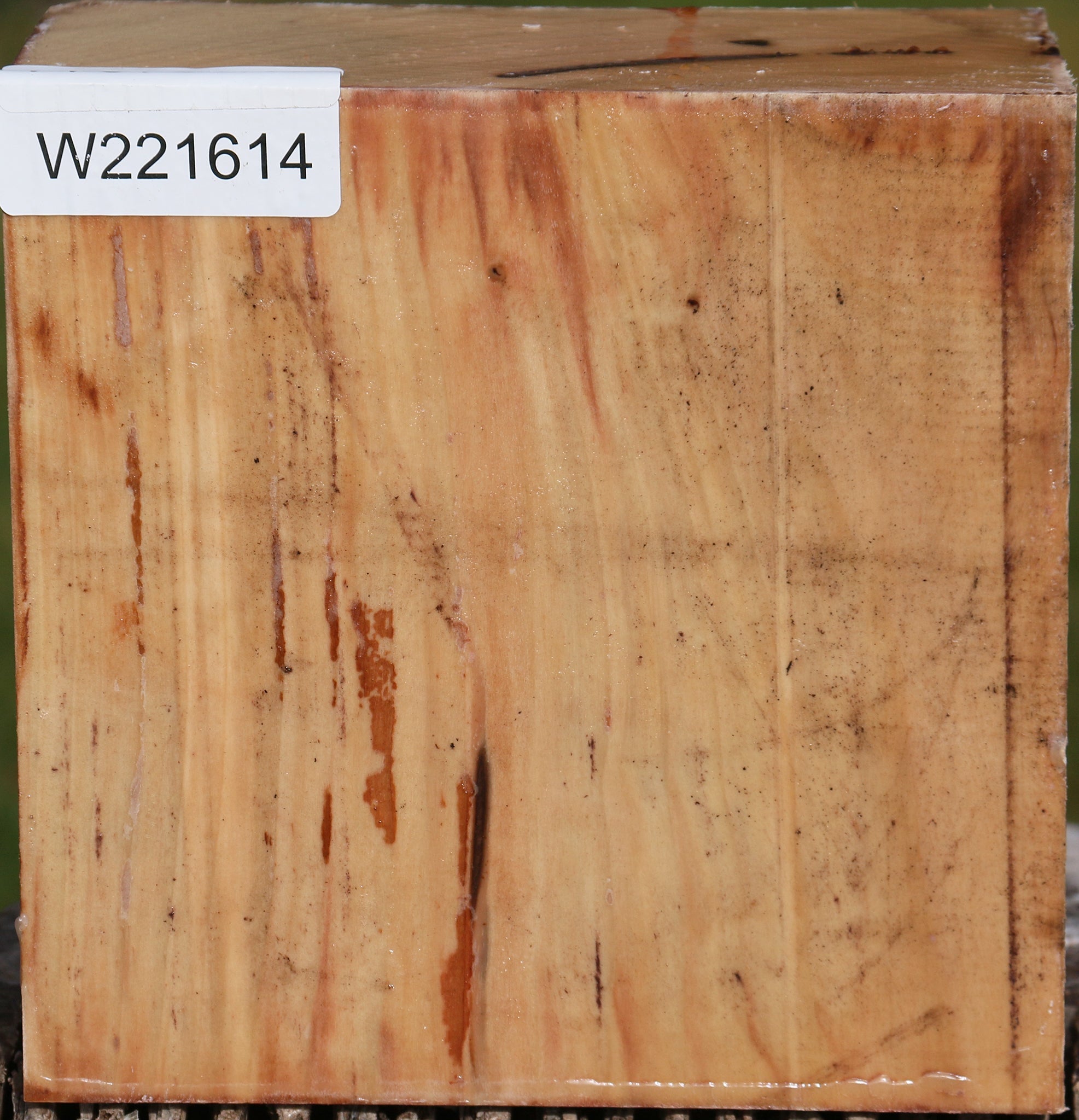 221614_1_b7bb6716-0d10-43e7-81b4-0e256753ca82 15024750494067