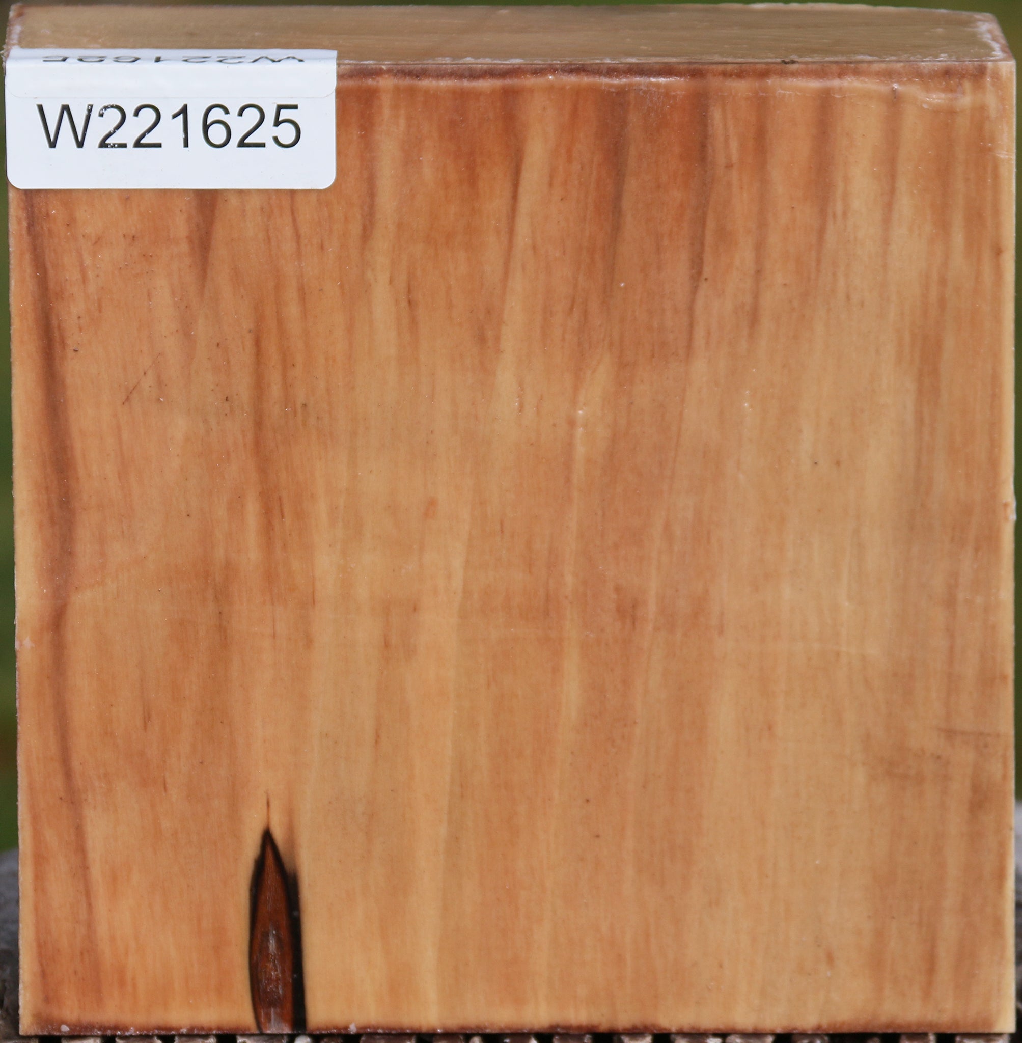 221625_1_57c983d1-78bc-4d18-aacd-cd8273806153 15024751051123