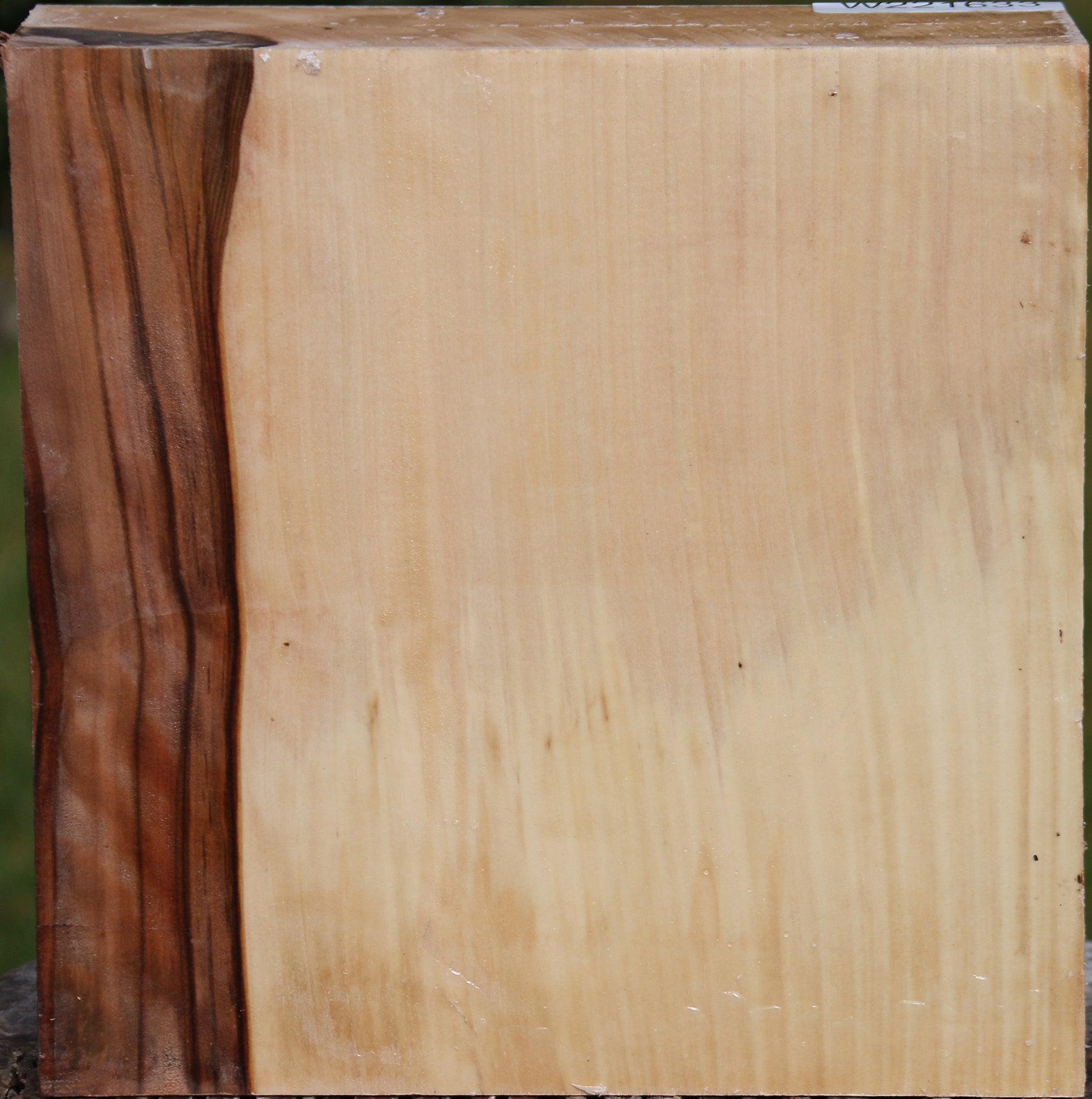 221633_1_2c5c3fda-a2b4-41a0-b4b7-d5f0e532dc5a 15024751444339