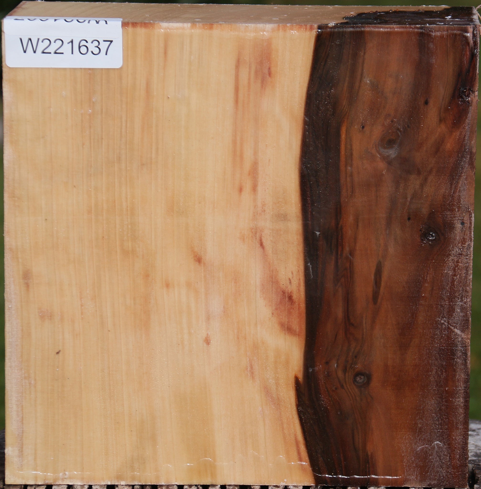 221637_1_ab579f0d-c9c2-470e-b650-eb3ae86872b7 15024751706483