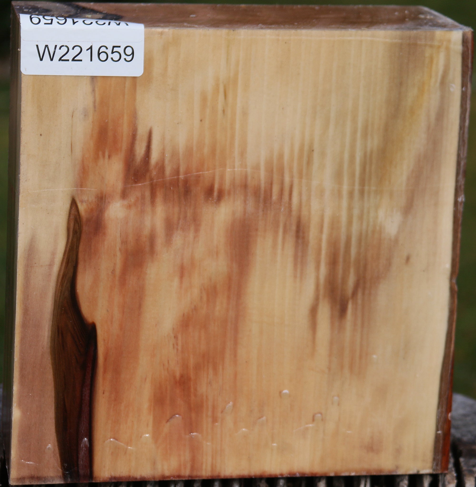 221659_1_a7114cc2-f91d-4e98-a42f-350c84e4807a 15024752984435