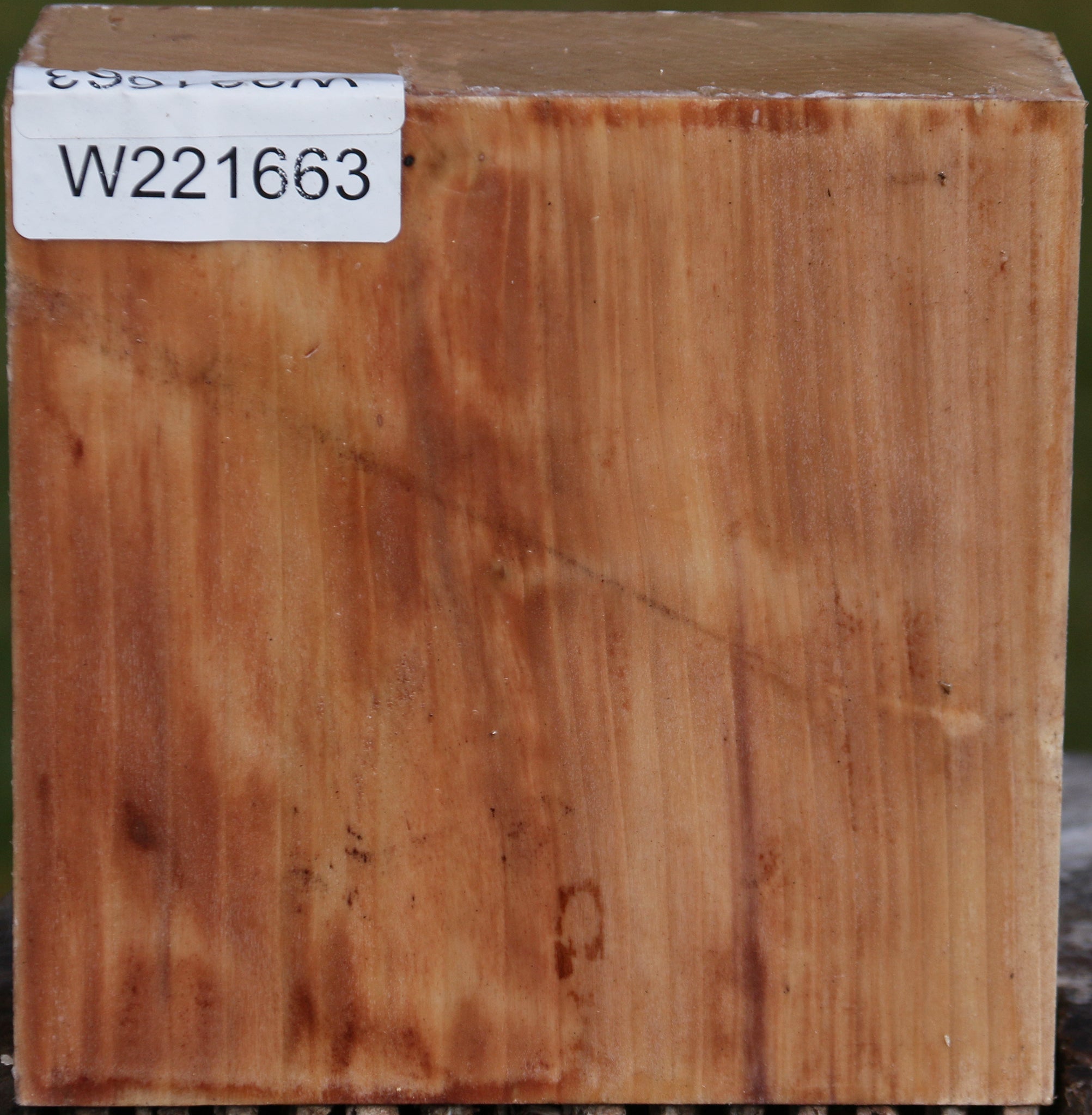 221663_1_d8d41700-84d1-496a-9954-7f5f8b46667a 15024753246579