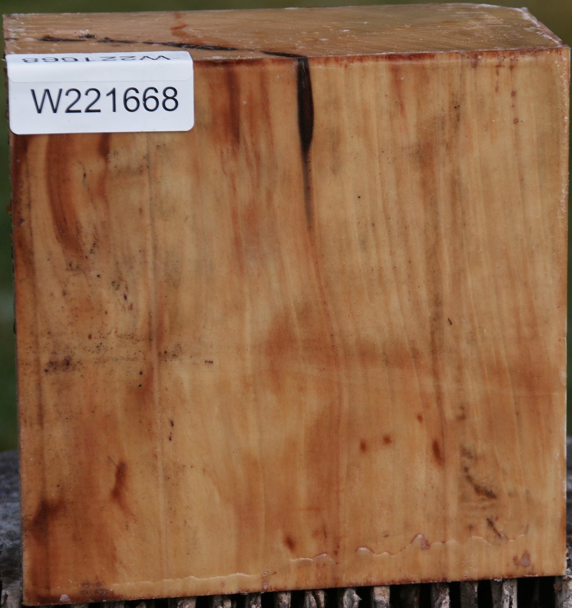 221668_1_e1c59665-1903-49b8-802b-284885215f3c 15024753508723