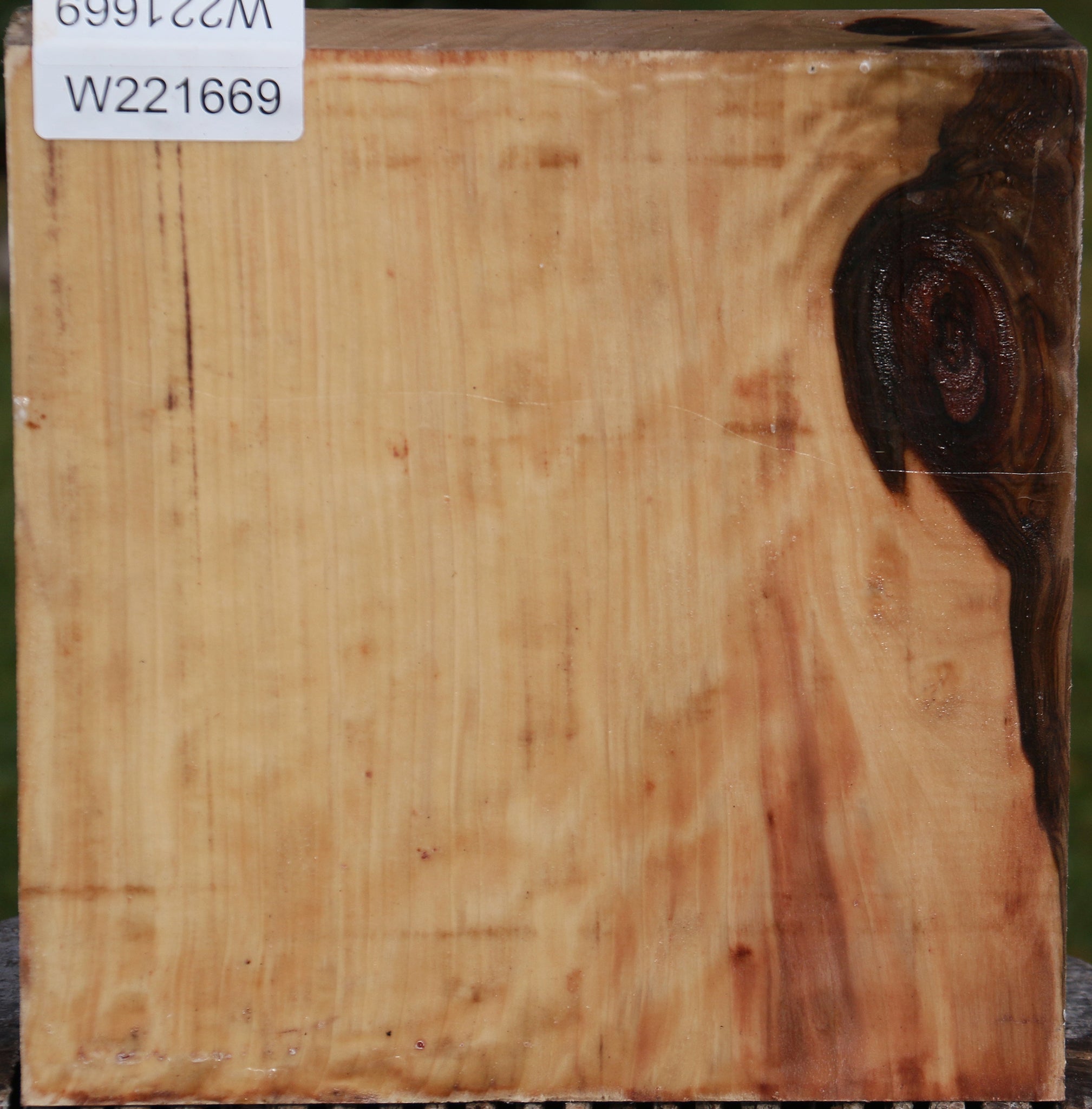 221669_1_127337a9-8746-4949-a283-cd0aa8492826 15024753541491