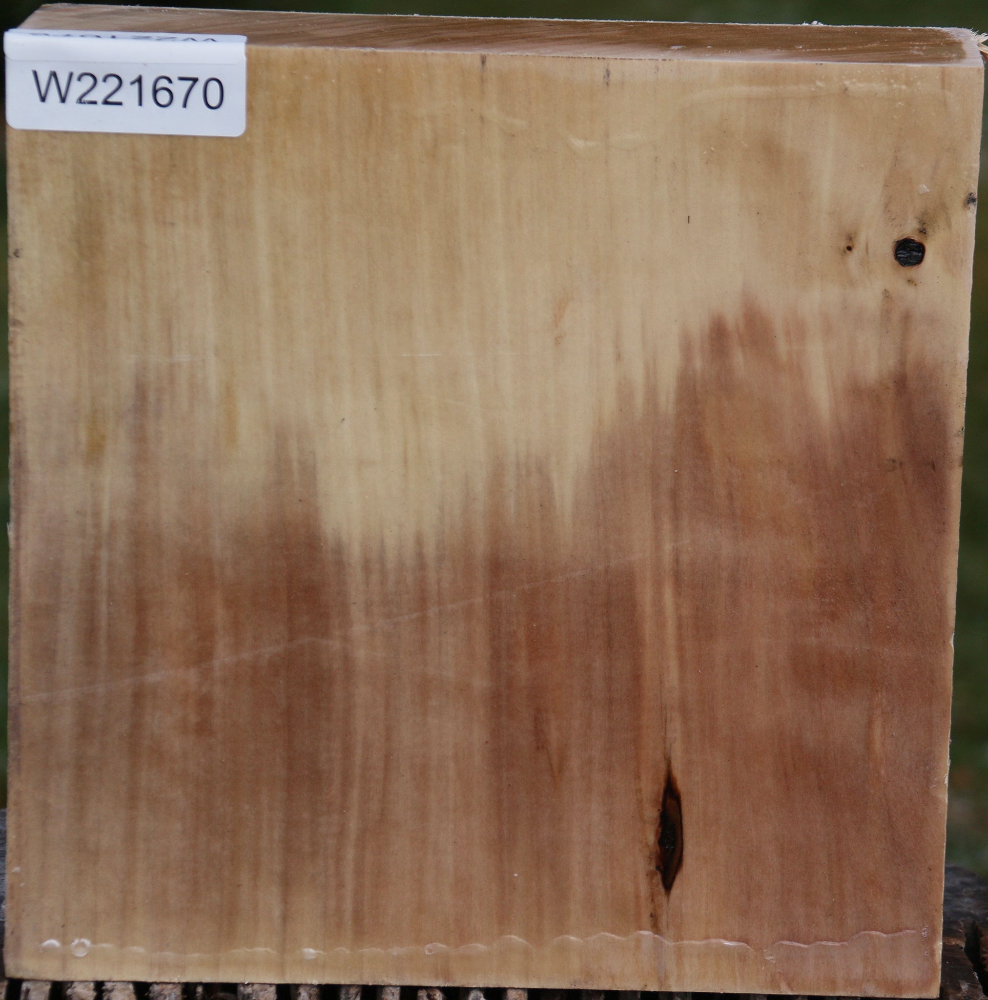 221670_1_90fbf0ae-0e66-4f48-af3d-524b47758d6c 15024753607027