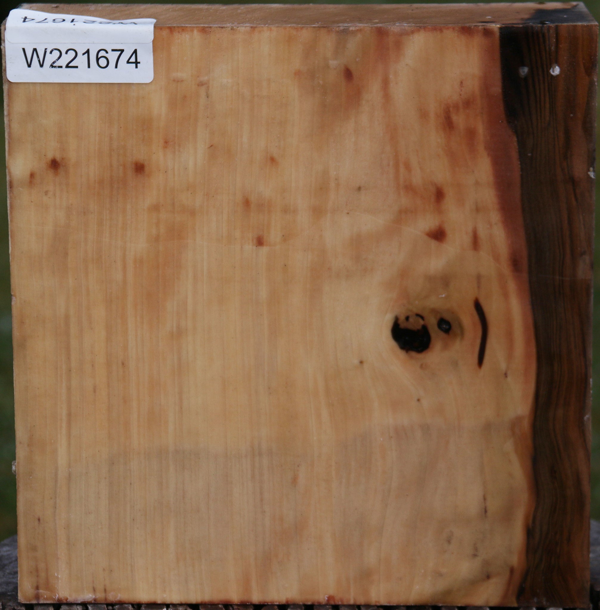 221674_1_51858631-d983-4f7c-9da9-12a40d764056 15024753803635