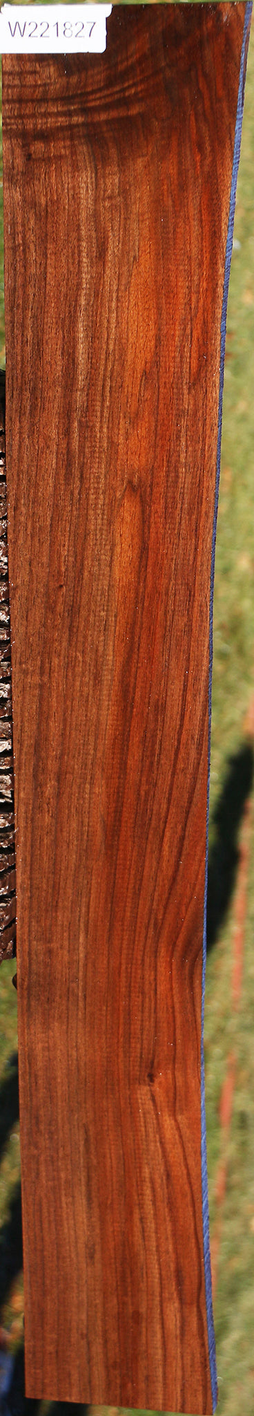 221827_1_8721a049-581e-4d1c-b7ac-eae0ced42882 15025038000499